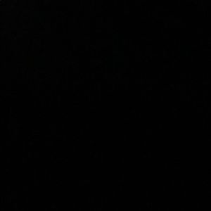 Meet your Posher, Tyra